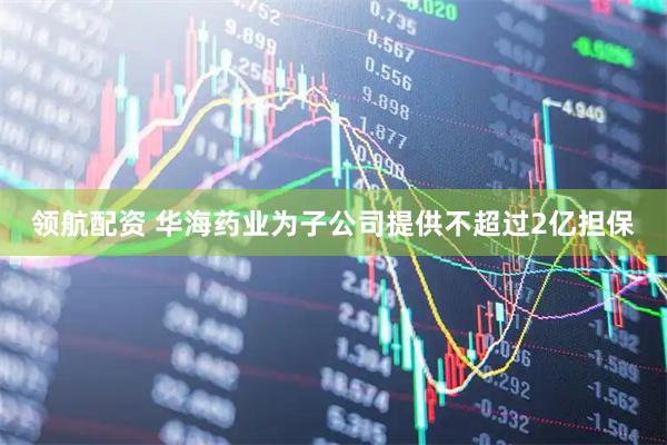 领航配资 华海药业为子公司提供不超过2亿担保