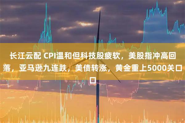 长江云配 CPI温和但科技股疲软，美股指冲高回落，亚马逊九连跌，美债转涨，黄金重上5000关口